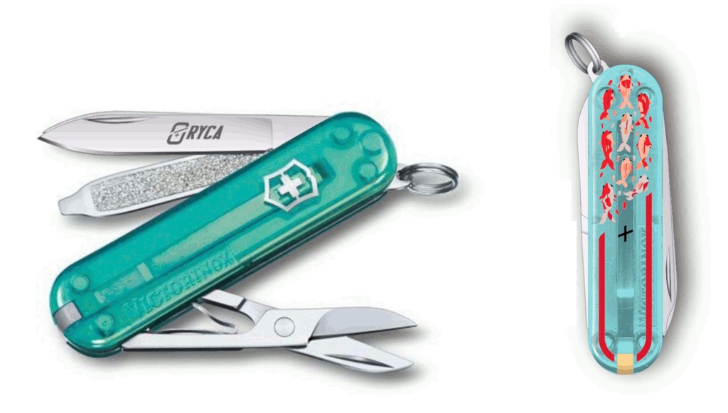 [0.6223.T24G.R9KOI] Victorinox Classic SD Transparent, Koi Edition, 58mm, Tropical Surf, 3000