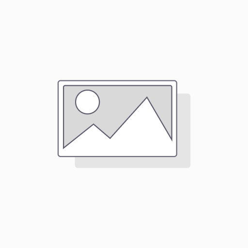 ESS Crossblade Photochromic Replacement Lens, 23057