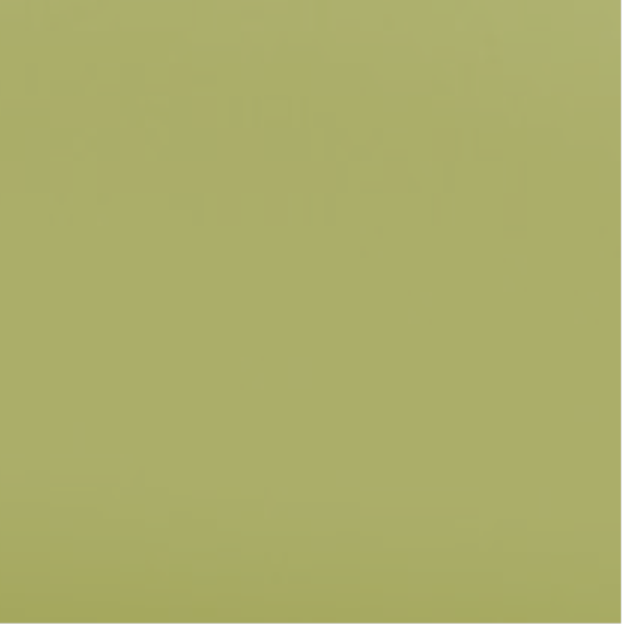 ESS Crossblade Laser Protective Lens, Green, 820-1080nm, 22920