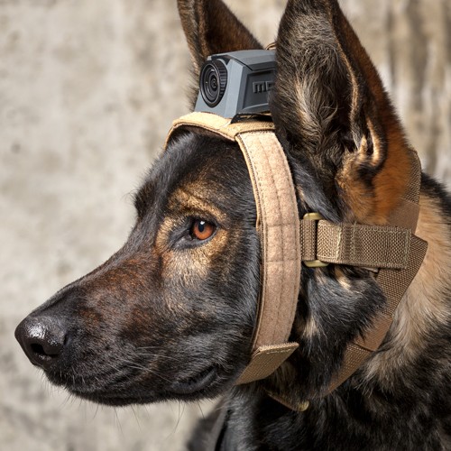 [MH-K9T] MOHOC K9 Head Harness Tan