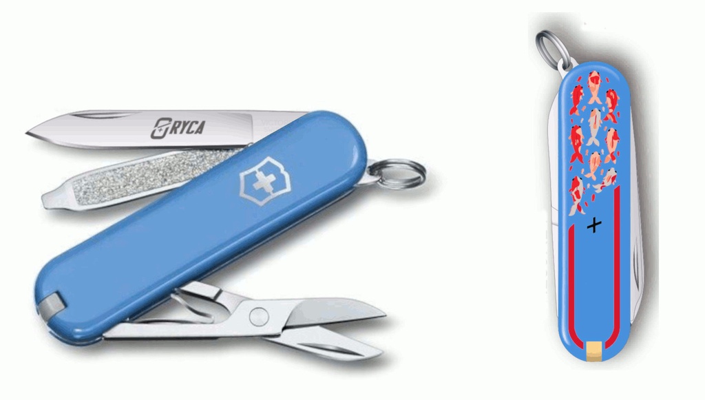 [0.6223.28G.R9KOI] Victorinox Classic SD, Koi Edition, 58mm, Summer Rain, 3000