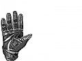 [9100-202-M] W+R PRO Hadrian Gloves 25296